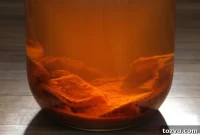 How to Make Apple Cider Vinegar from Scratch