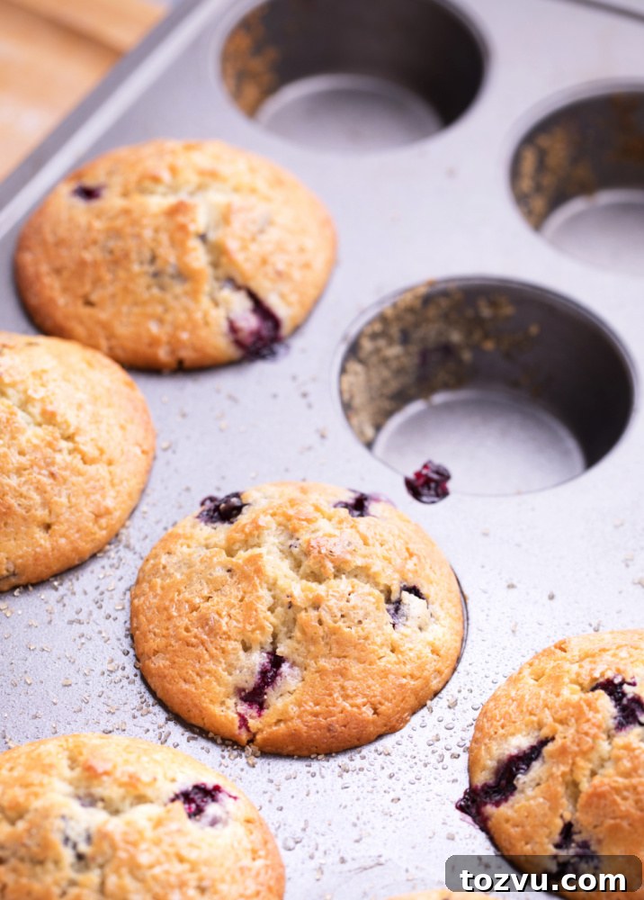 Blueberries for muffins