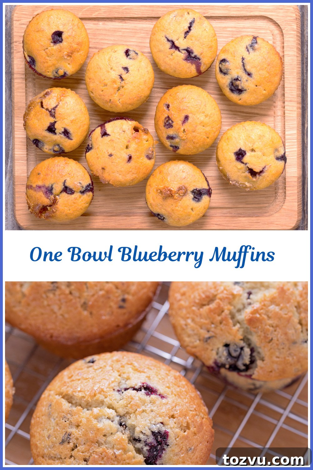 Blueberry close-up