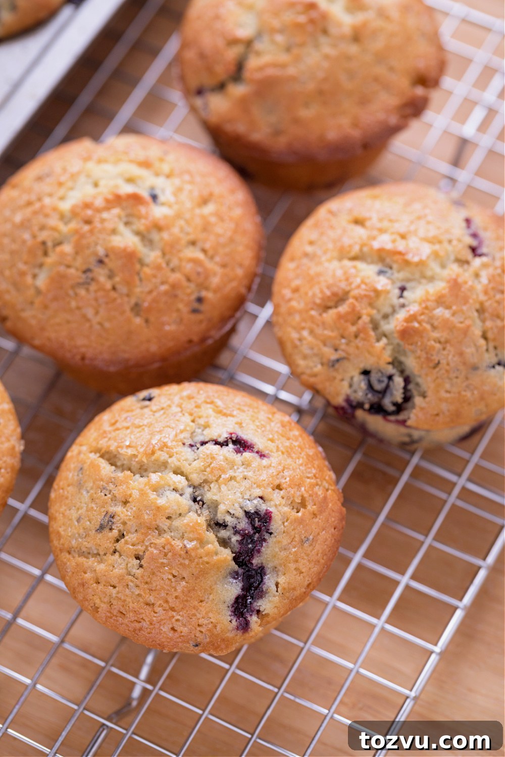 Blueberry recipes collage