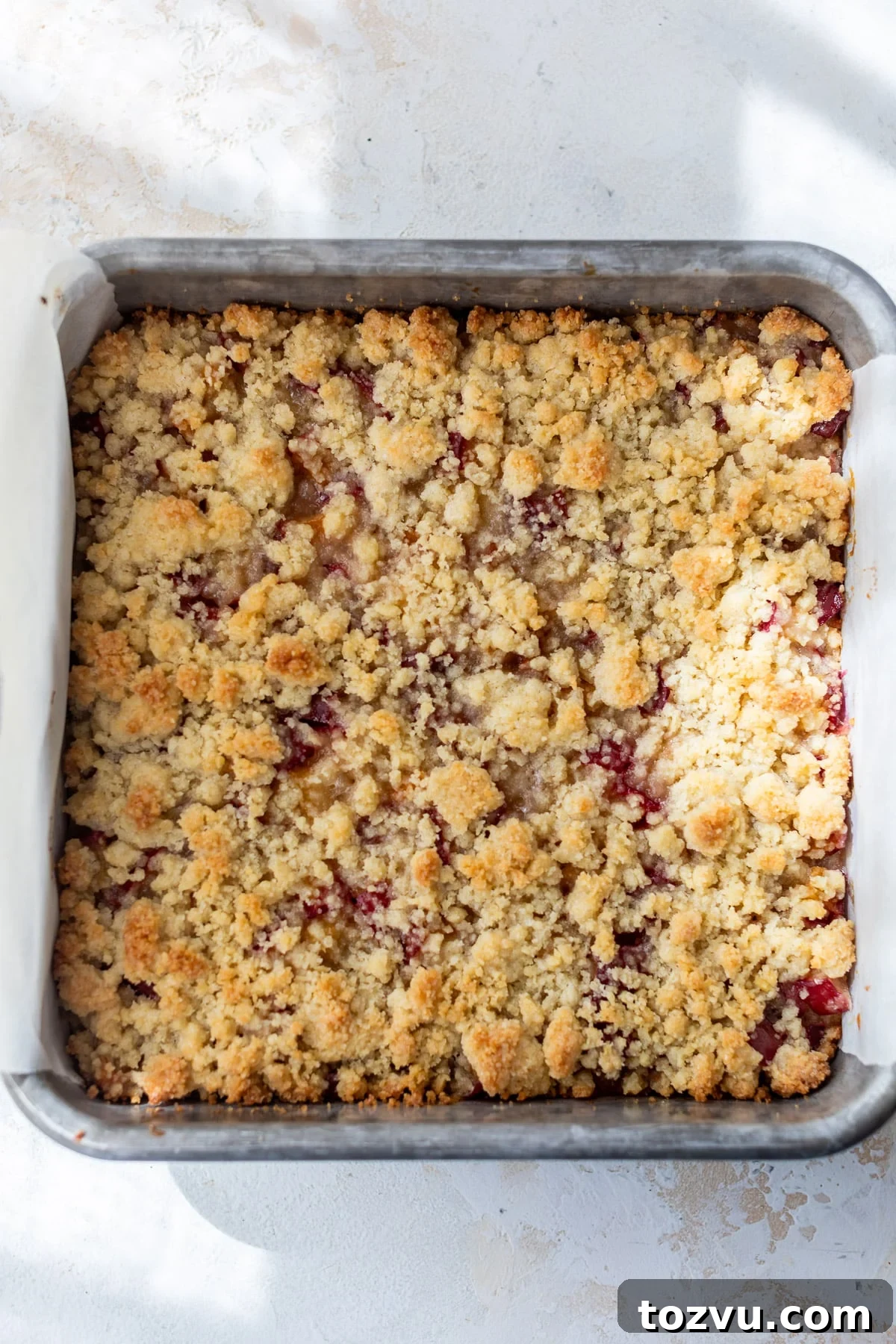 baked plum bars in a baking dish.