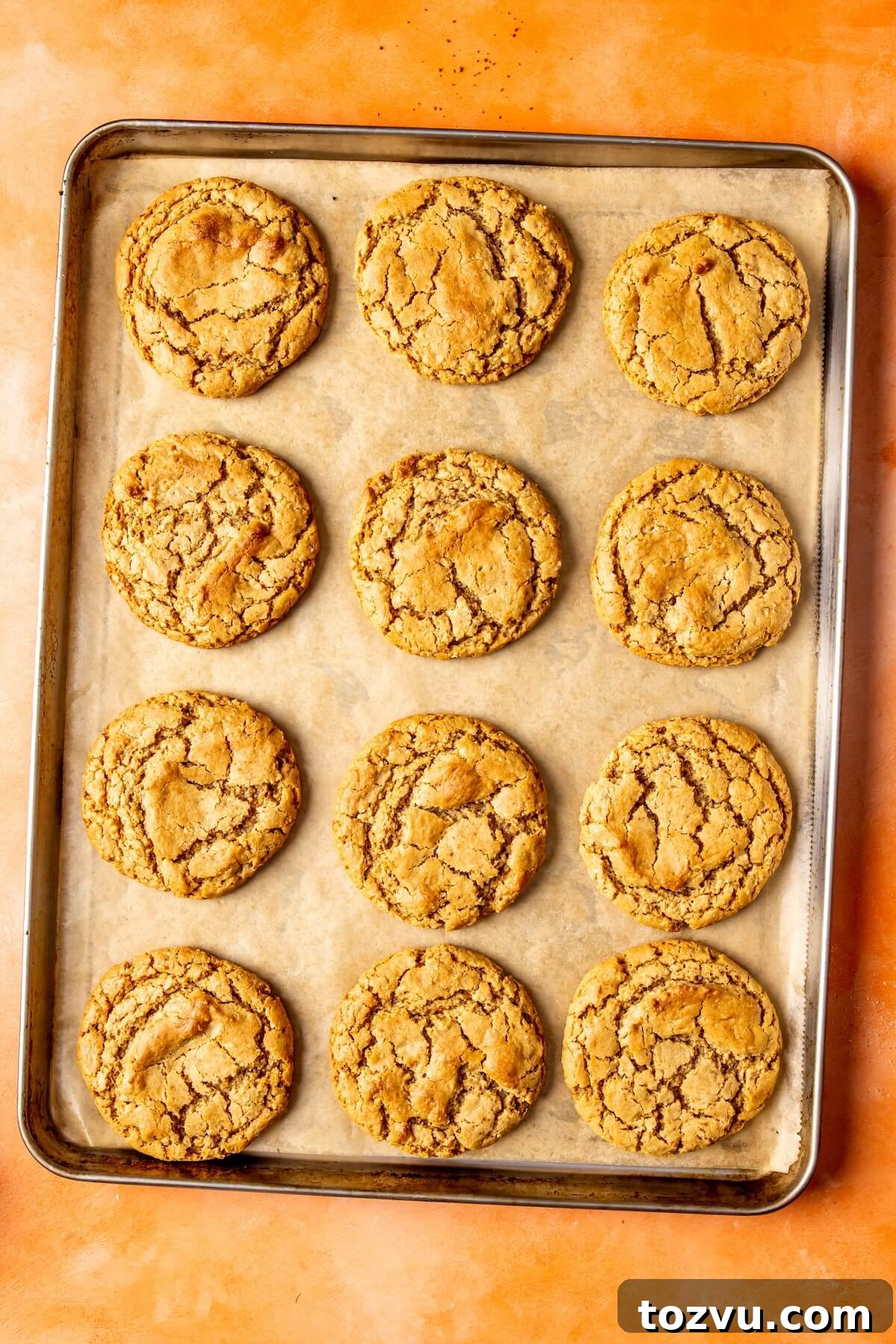 Gluten-Free Salted Vanilla Cashew Butter Cookies 8 How to Make Salted Vanilla Cashew Butter Cookies Step 6 - Olivia Adriance