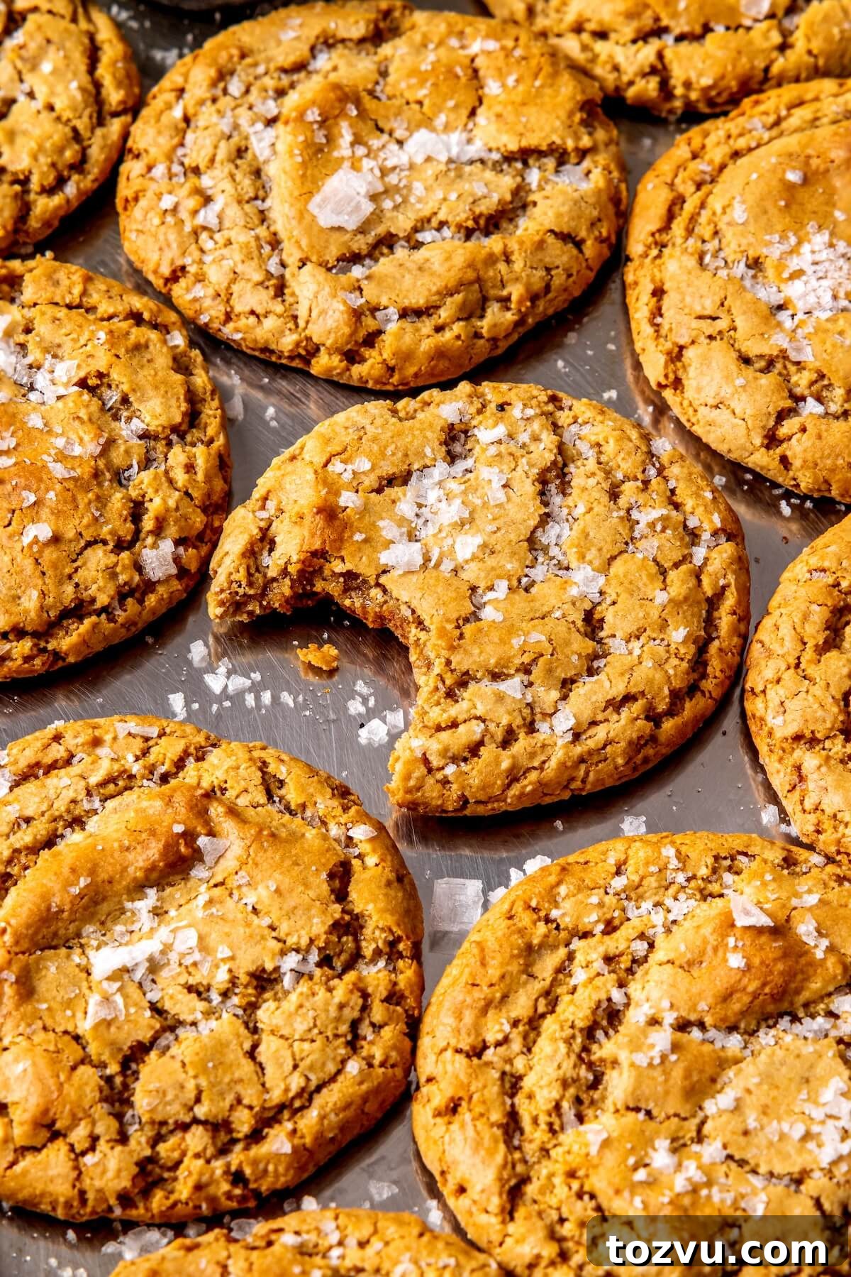 Gluten-Free Salted Vanilla Cashew Butter Cookies 6 Salted Vanilla Cashew Butter Cookies - Olivia Adriance