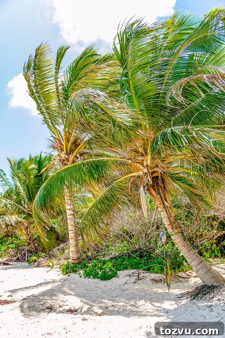 Culebra Island, Puerto Rico: Insider Travel Tips 10 These Tips for Visiting Culebra Island, Puerto Rico will help you make the most of your trip!