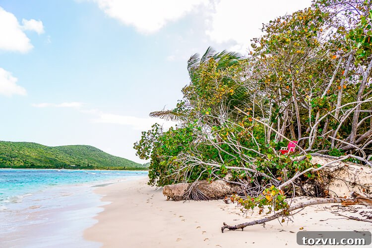 Culebra Island, Puerto Rico: Insider Travel Tips 4 These Tips for Visiting Culebra Island, Puerto Rico will help you make the most of your trip!