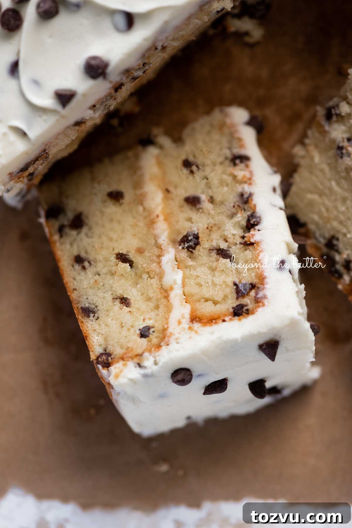 Moist Chocolate Chip Cake Recipe from Scratch 2 Slice of 2 layer chocolate chip cake on its side on a brown paper background
