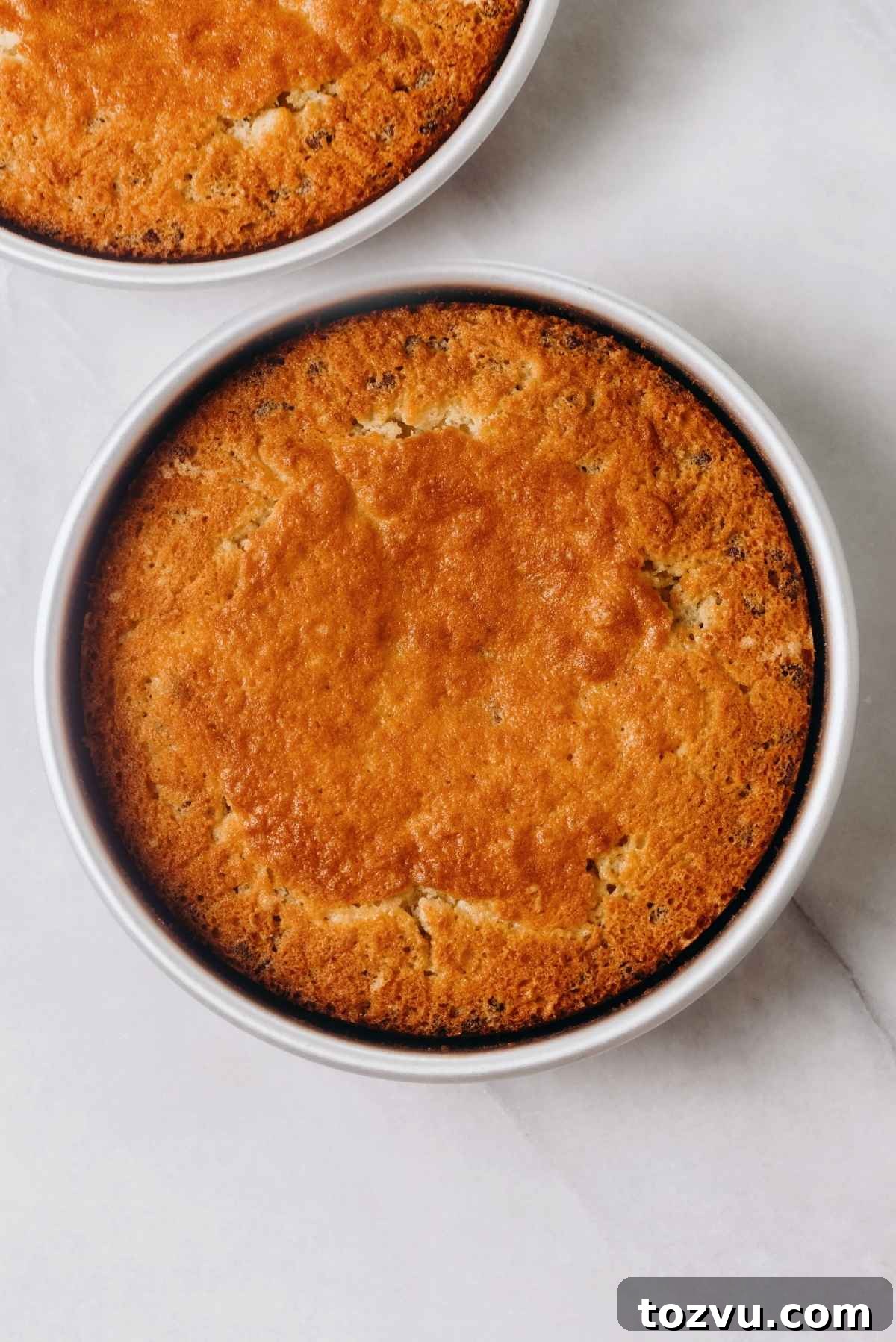 Moist Chocolate Chip Cake Recipe from Scratch 11 Baked cake layers