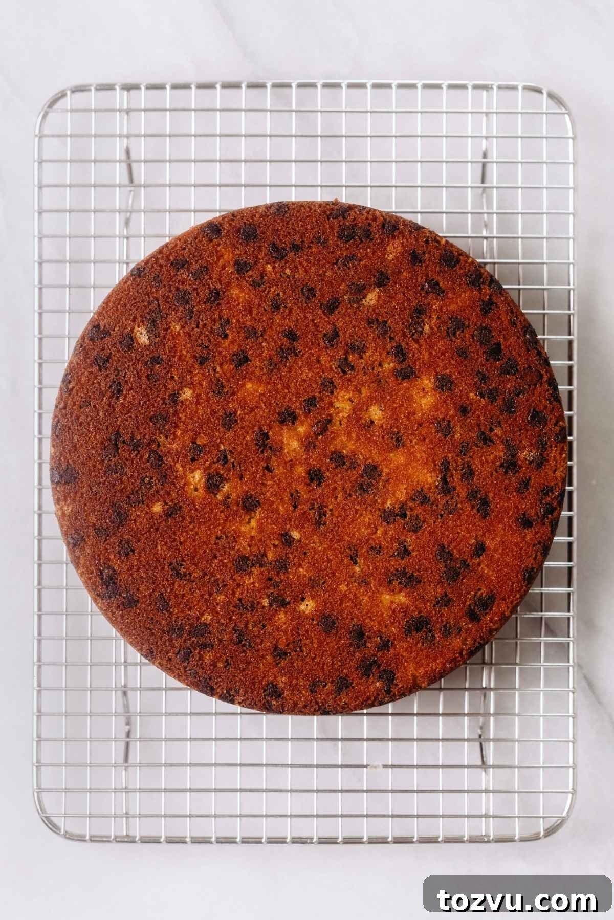 Moist Chocolate Chip Cake Recipe from Scratch 12 Cake layer cooling on a rack