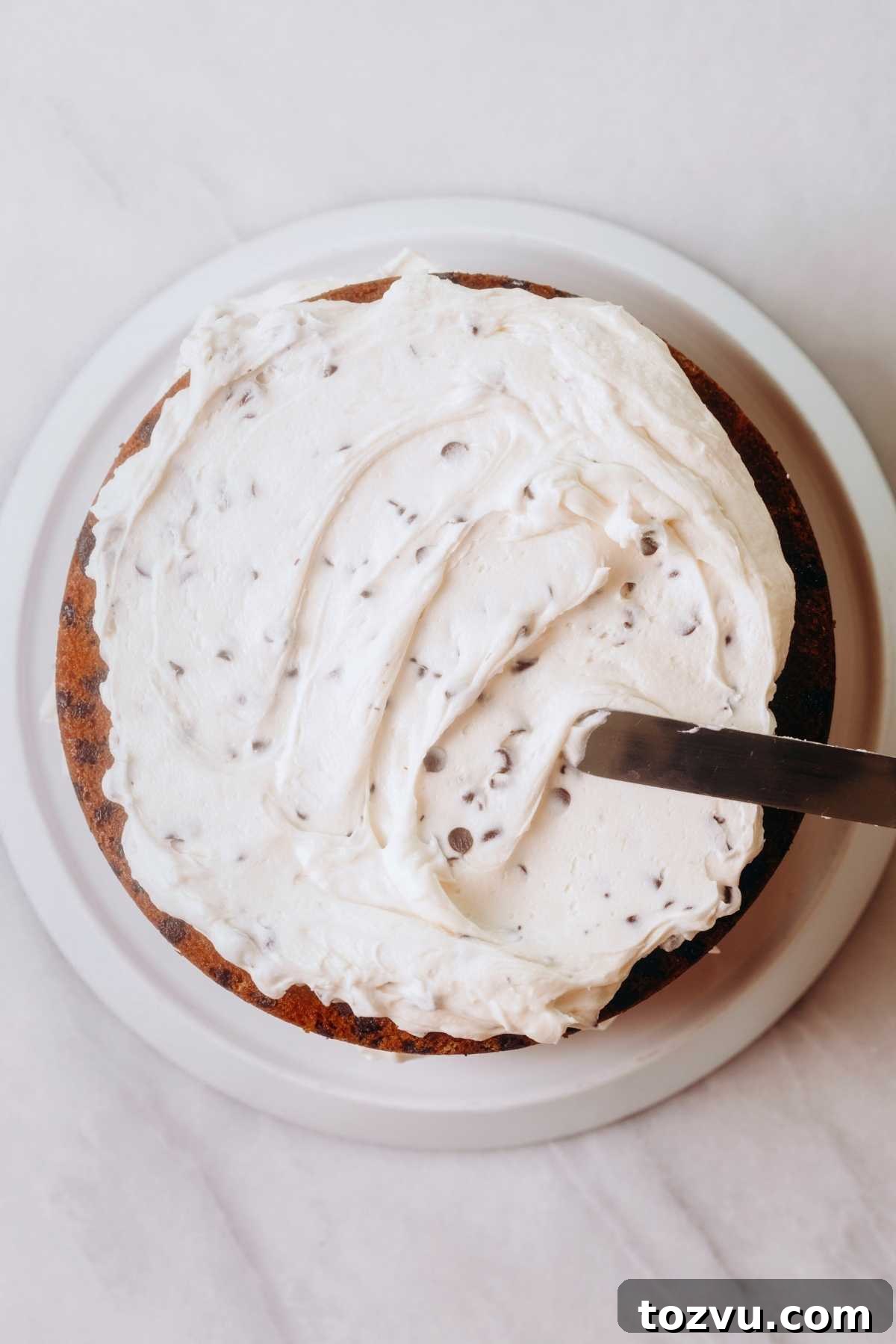 Moist Chocolate Chip Cake Recipe from Scratch 16 Frosting cake with an offset spatula