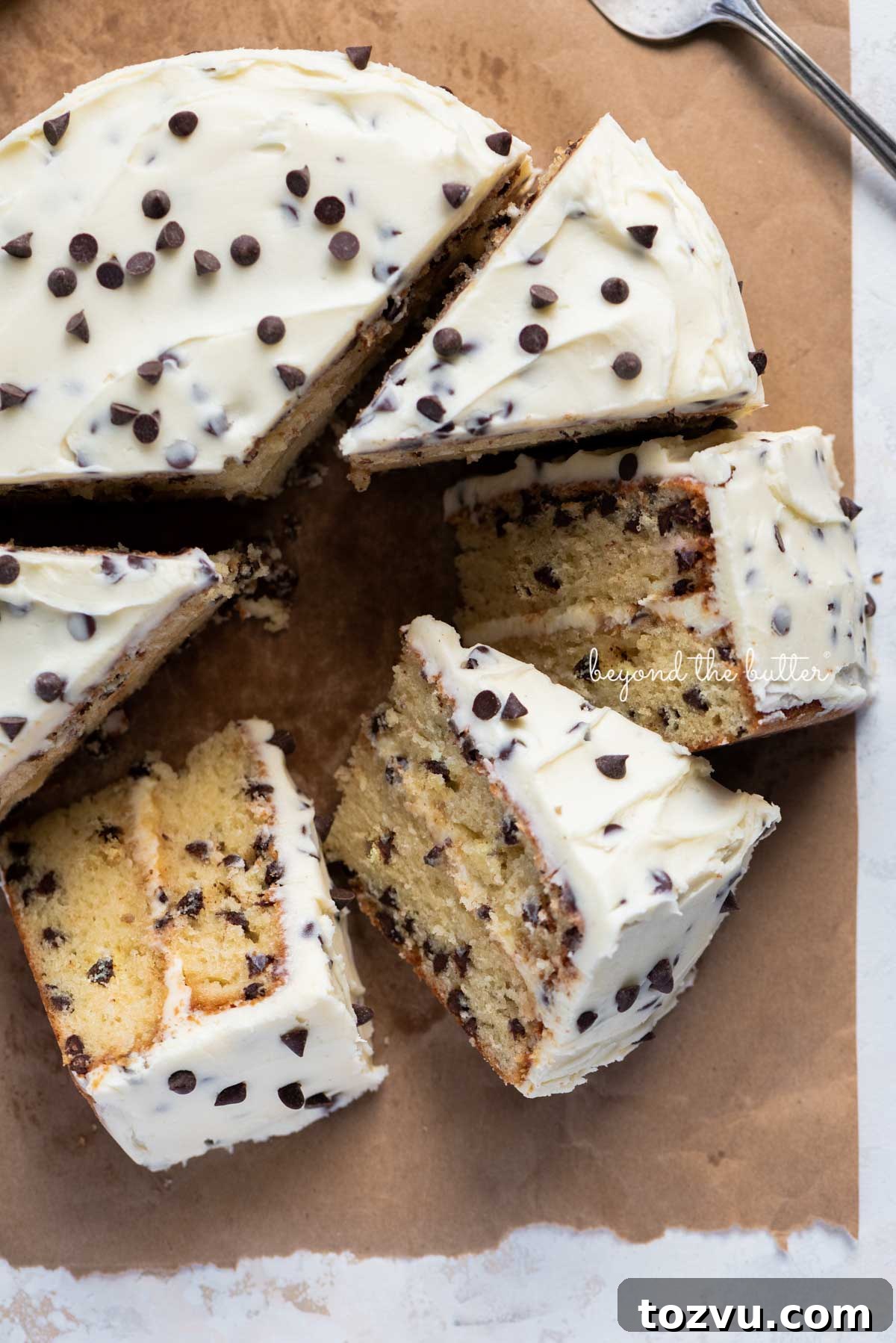 Moist Chocolate Chip Cake Recipe from Scratch 17 Slices of 2 layer chocolate chip cake on its side on a brown paper background