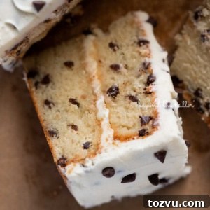 Moist Chocolate Chip Cake Recipe from Scratch 18 Slice of 2 layer chocolate chip cake on its side