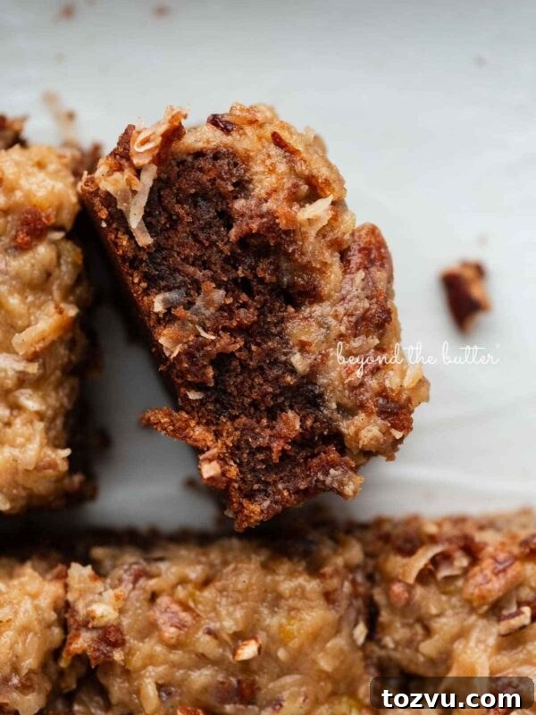 Moist Chocolate Chip Cake Recipe from Scratch 19 Sliced German chocolate sheet cake