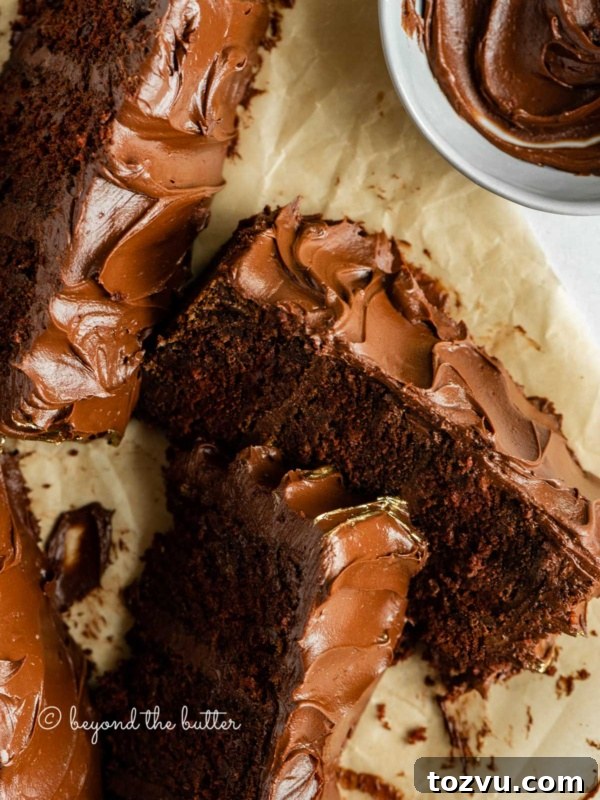 Moist Chocolate Chip Cake Recipe from Scratch 20 Chocolate zucchini cake slices