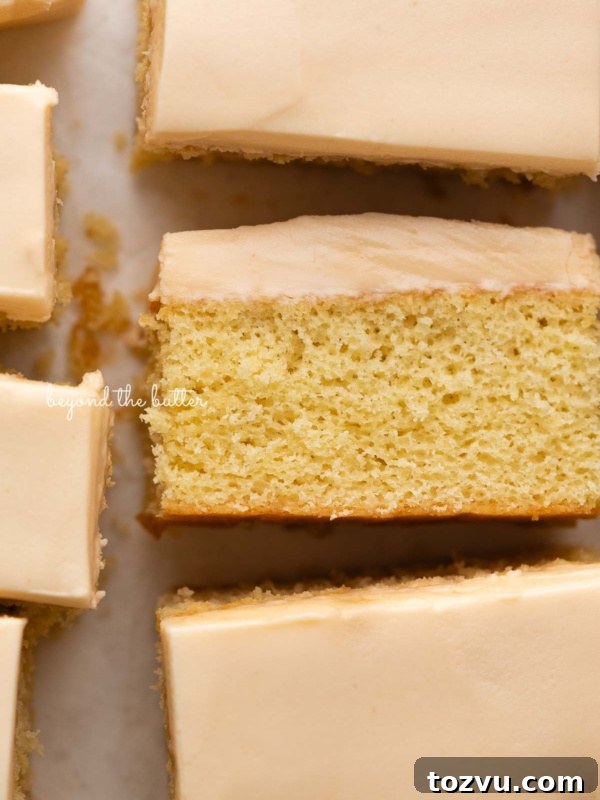 Moist Chocolate Chip Cake Recipe from Scratch 22 Butterscotch krimpet sheet cake slices