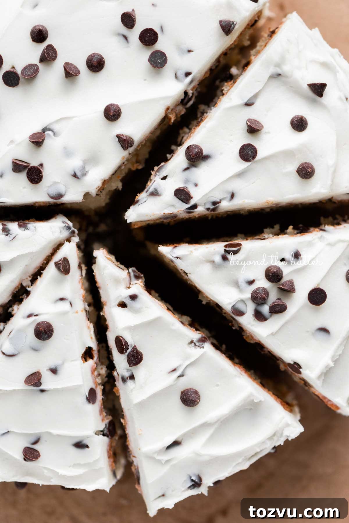 Moist Chocolate Chip Cake Recipe from Scratch 4 Slices of 2 layer chocolate chip cake on a brown paper background