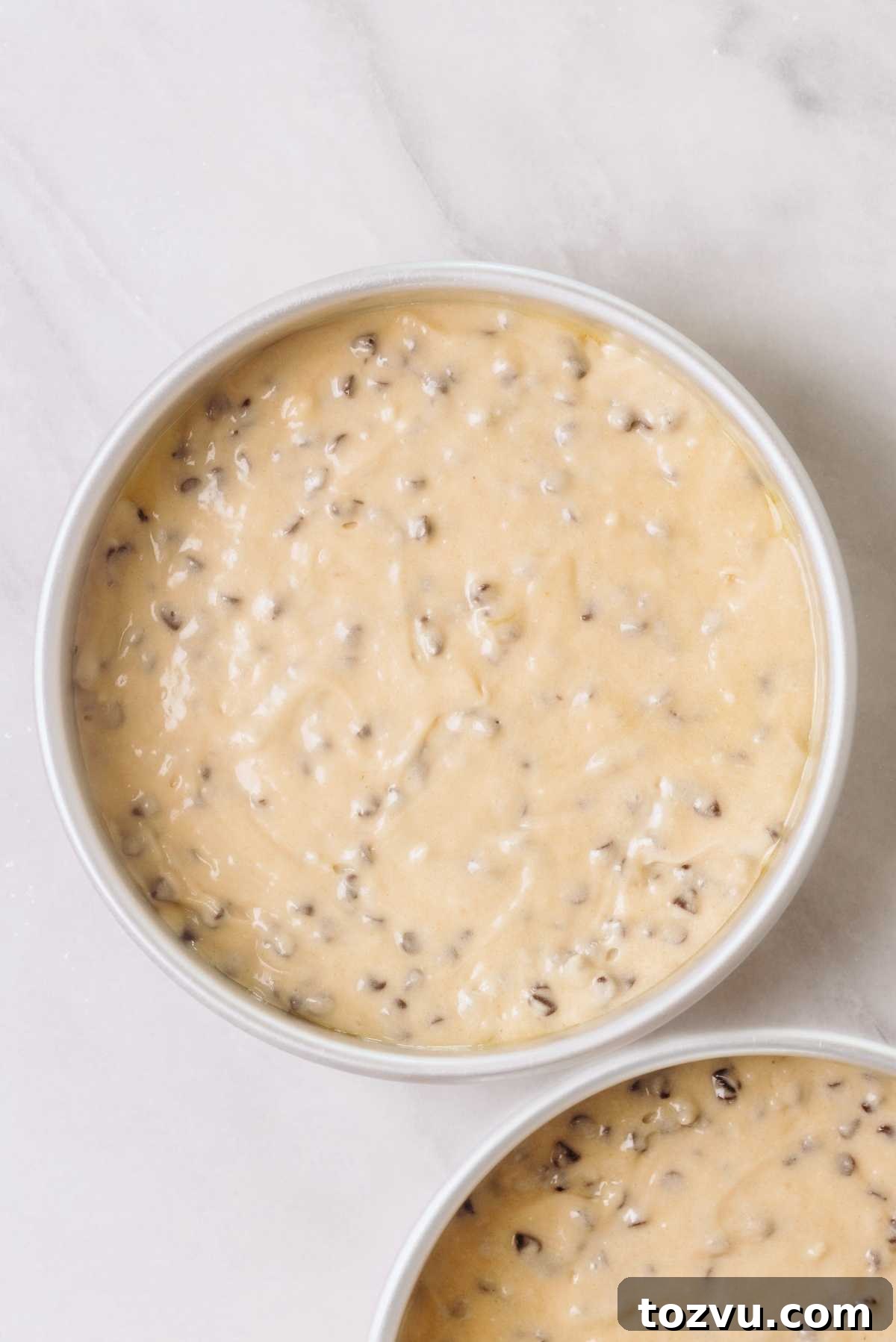 Moist Chocolate Chip Cake Recipe from Scratch 10 Batter in two cake pans