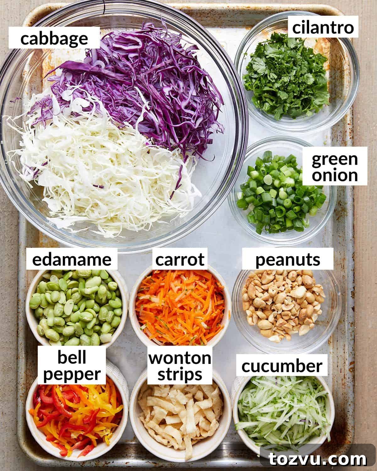 Overhead image of ingredients needed for asian cabbage salad.