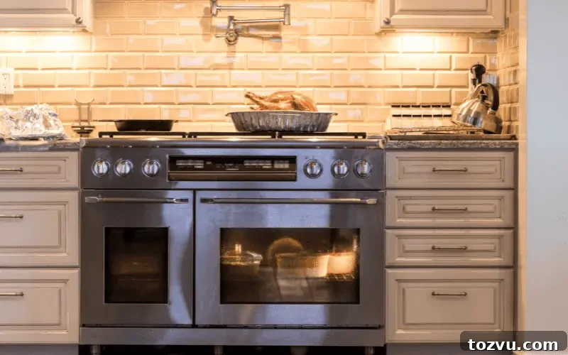 How to Smoke Two Turkeys at Once — Tips for Success 3 thanksgiving turkey resting in a pan