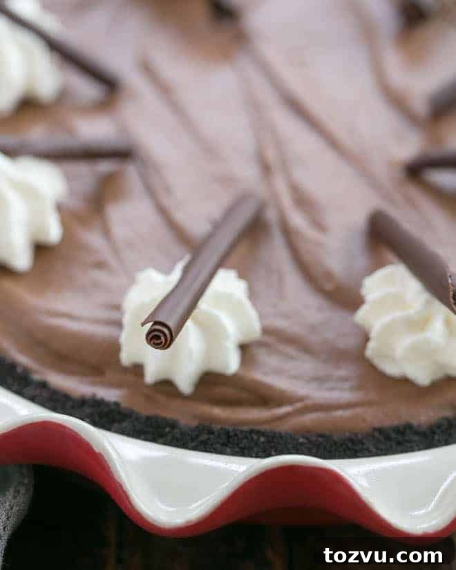 The Best French Silk Pie Recipe - A decadent, luscious chocolate pie with a Frangelico twist! Close up of Frangelico French Silk Pie garnishes of whipped cream and chocolate curls.