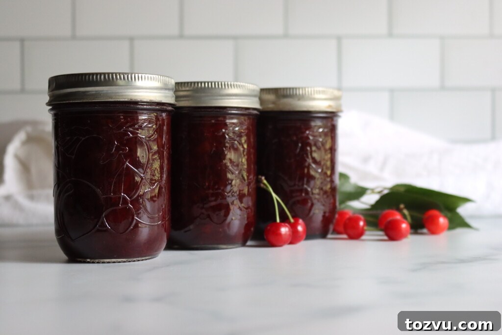 Homemade Sour Cherry Jam Recipe 2 Sour Cherry Jam