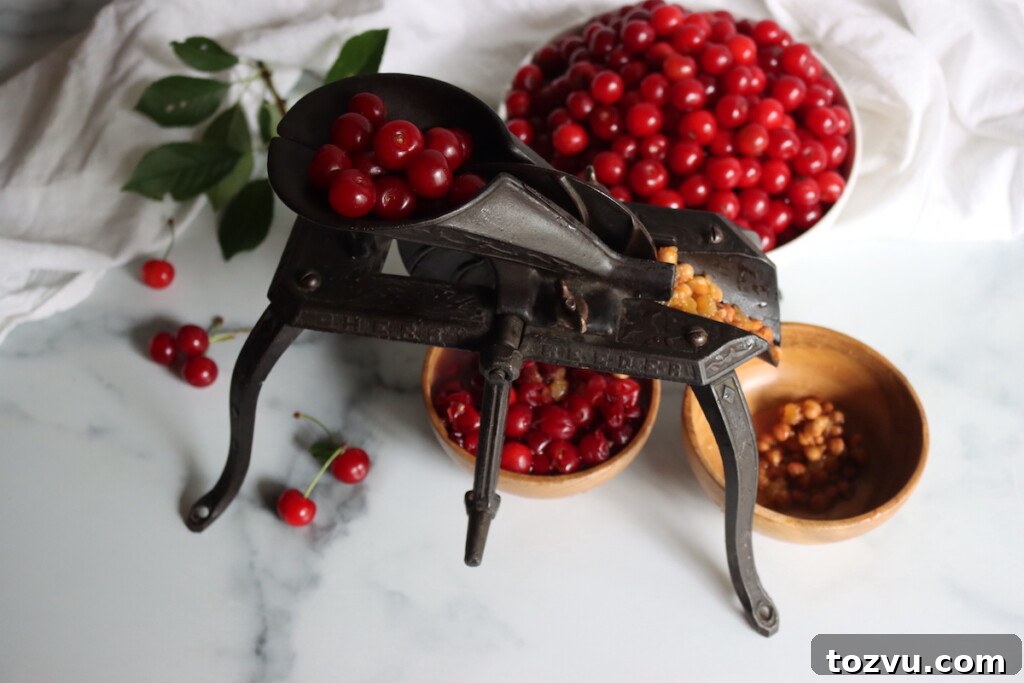 Homemade Sour Cherry Jam Recipe 5 Antique Cherry Pitter