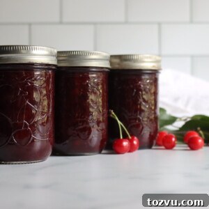 Homemade Sour Cherry Jam Recipe 7 Sour Cherry Jam