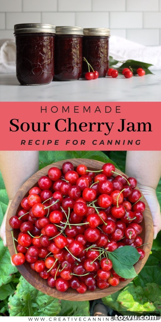 Homemade Sour Cherry Jam Recipe 8 Sour Cherry Jam Recipe