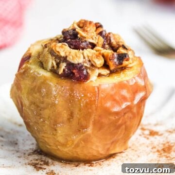 Air Fryer Baked Apples with Cinnamon and Brown Sugar 12 A baked apple in the air fryer brims with nuts, oats, and cranberries on a white plate, adorned with a sprinkle of cinnamon nearby.