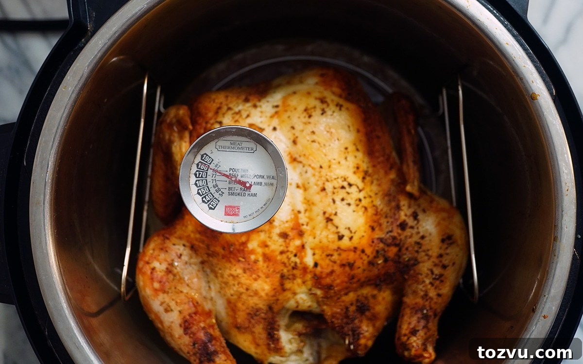 Crispy Whole Chicken in the Instant Pot Duo Crisp 5 Check the inner temperature