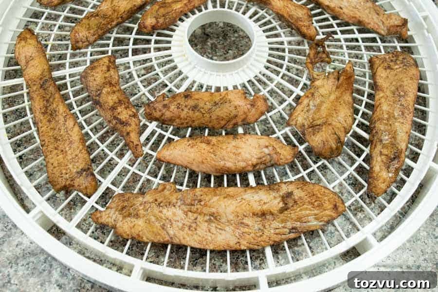 Mole-Spiced Turkey Jerky Recipe 9 Mole drying on dehydrator trays