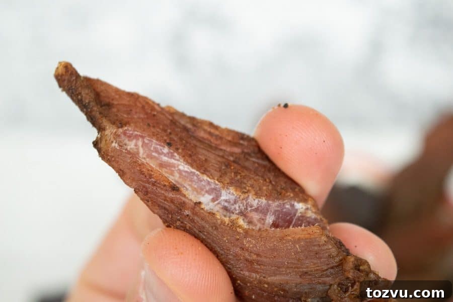 Mole-Spiced Turkey Jerky Recipe 10 Mole turkey jerky finished with white fibers showing when bent