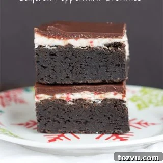 Delicious brownies with a peppermint twist served on a plate.