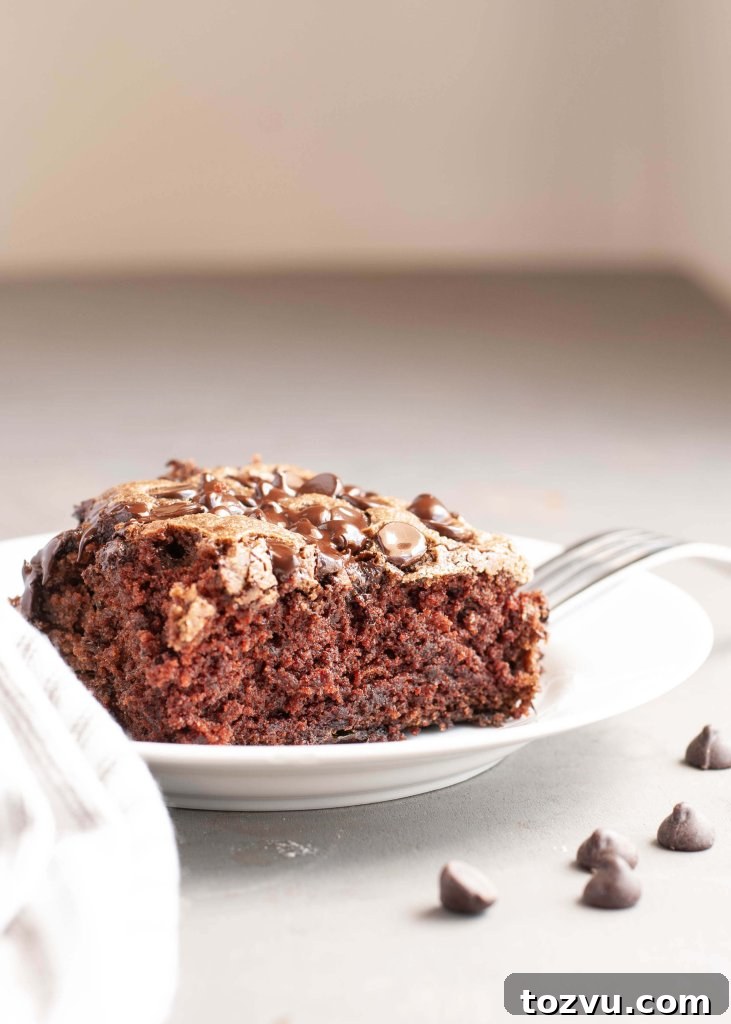 Gluten-Free Vegan Chocolate Zucchini Cake, Top-8 Allergen Free 4 gluten-free-dairy-free-chocolate-zucchini-cake