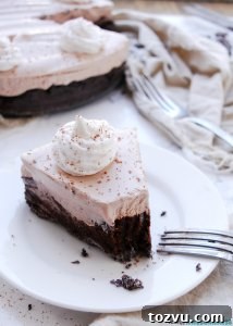 Gluten-Free Vegan Chocolate Zucchini Cake, Top-8 Allergen Free 9 chocolate pie for food allergies