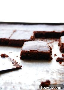 Gluten-Free Vegan Chocolate Zucchini Cake, Top-8 Allergen Free 10 Chocolate Sheet Cake (Gluten, dairy, egg, soy, peanut and tree nut free; top 8 free; vegan)