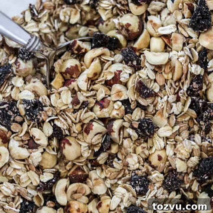 Close up of Rye and Oat Muesli with Dried Cherries and Hazelnuts.