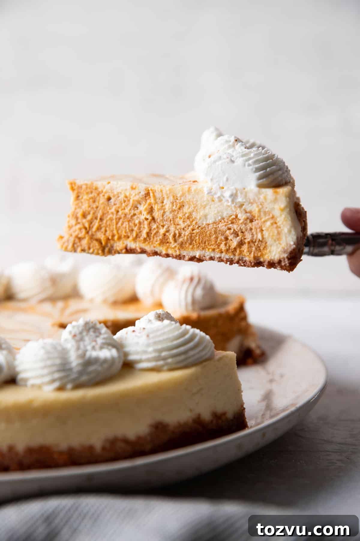 Creamy Pumpkin Swirl Cheesecake Recipe 2 slice of pumpkin cheesecake