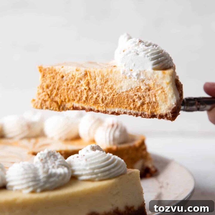 slice of pumpkin cheesecake