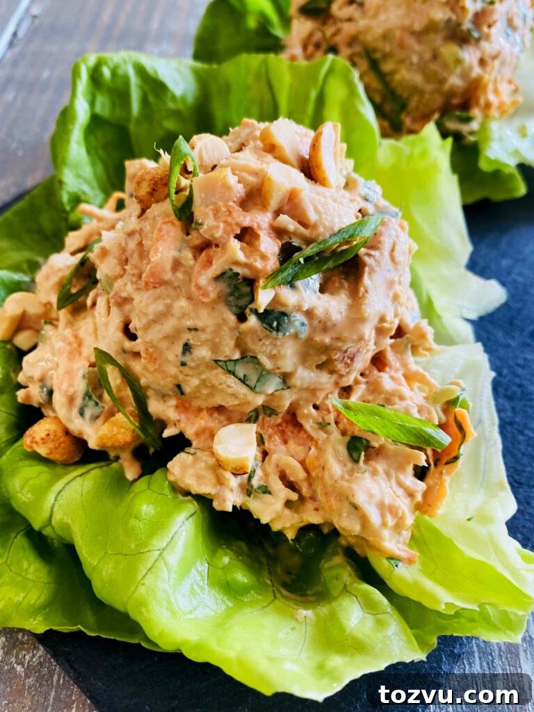 Indian-Spiced Lettuce Wraps: Fresh Flavor in Every Bite 14 Thai Peanut Chicken Salad