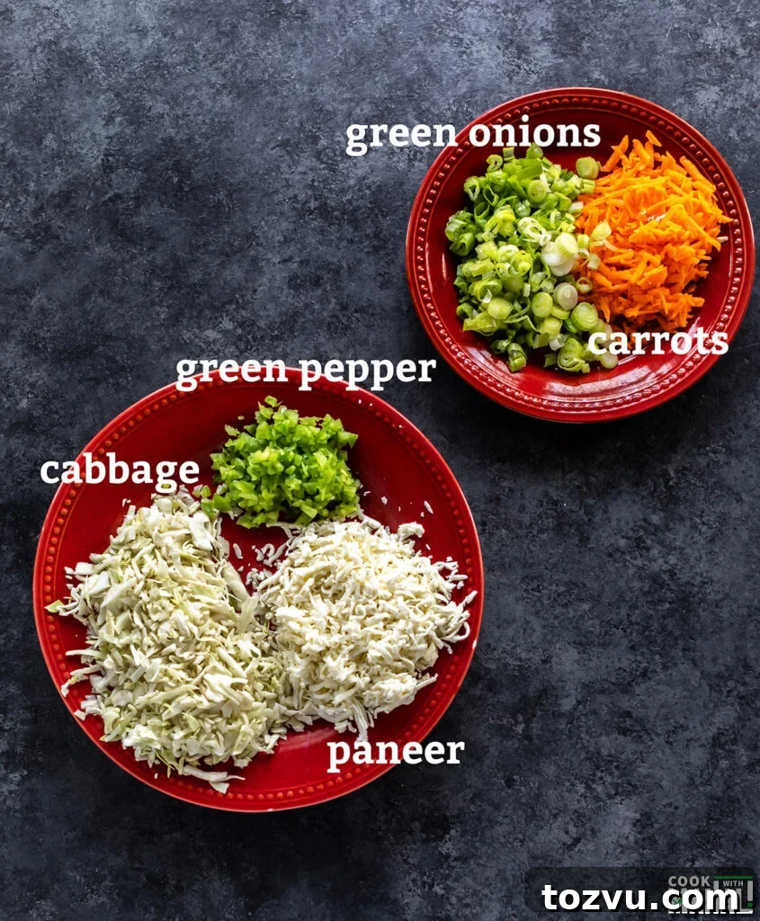 chopped vegetables like cabbage, pepper placed on round red plates