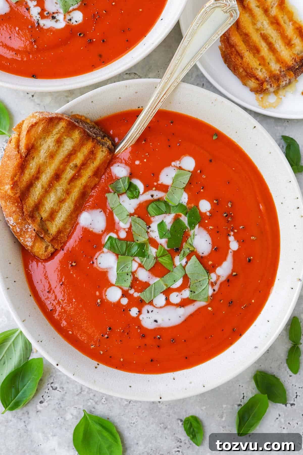 Tomato soup in a bowl with grilled cheese toast dunked in.