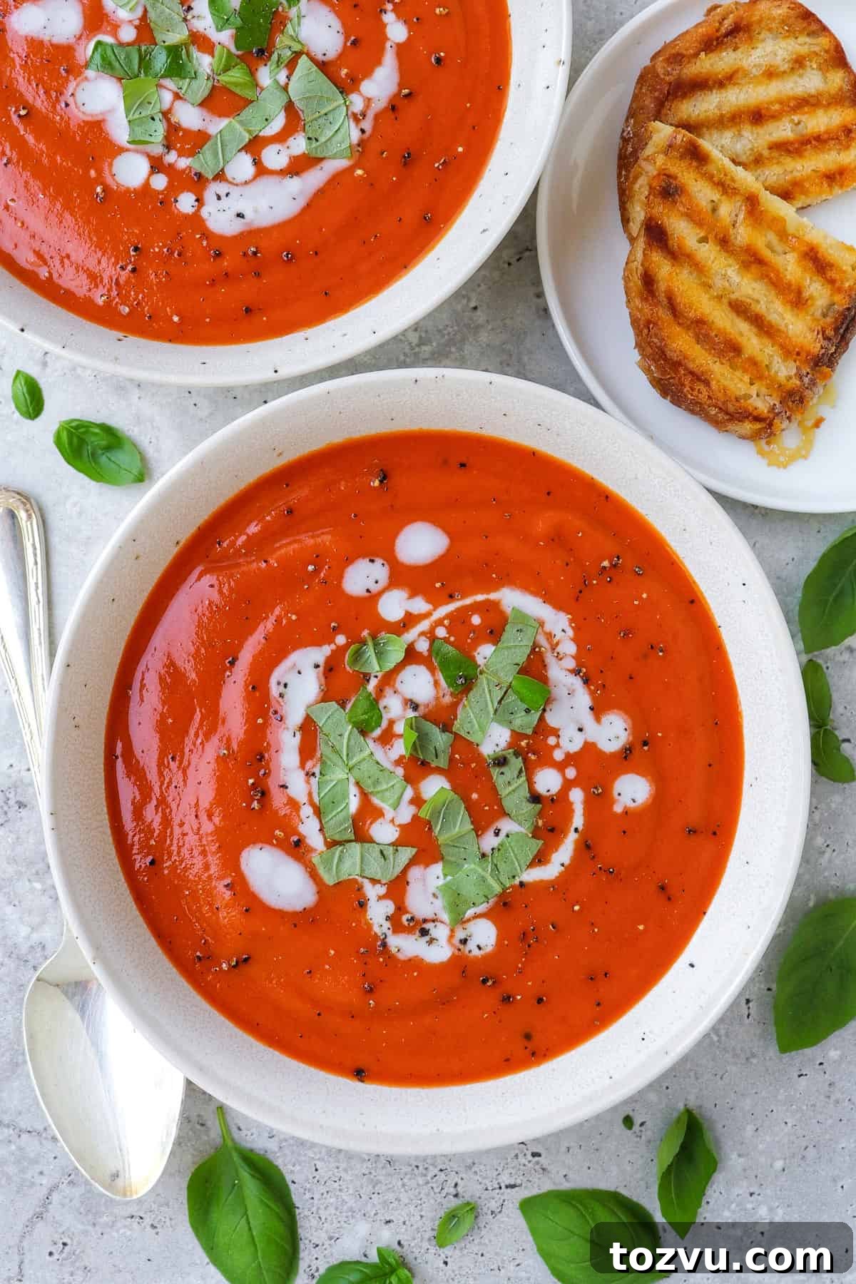 Two bowls of tomato soup with shredded basil leaves and coconut cream drizzled on top.