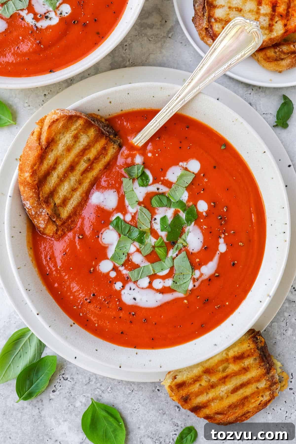 Tomato soup in a bowl with grilled cheese toast dunked in.