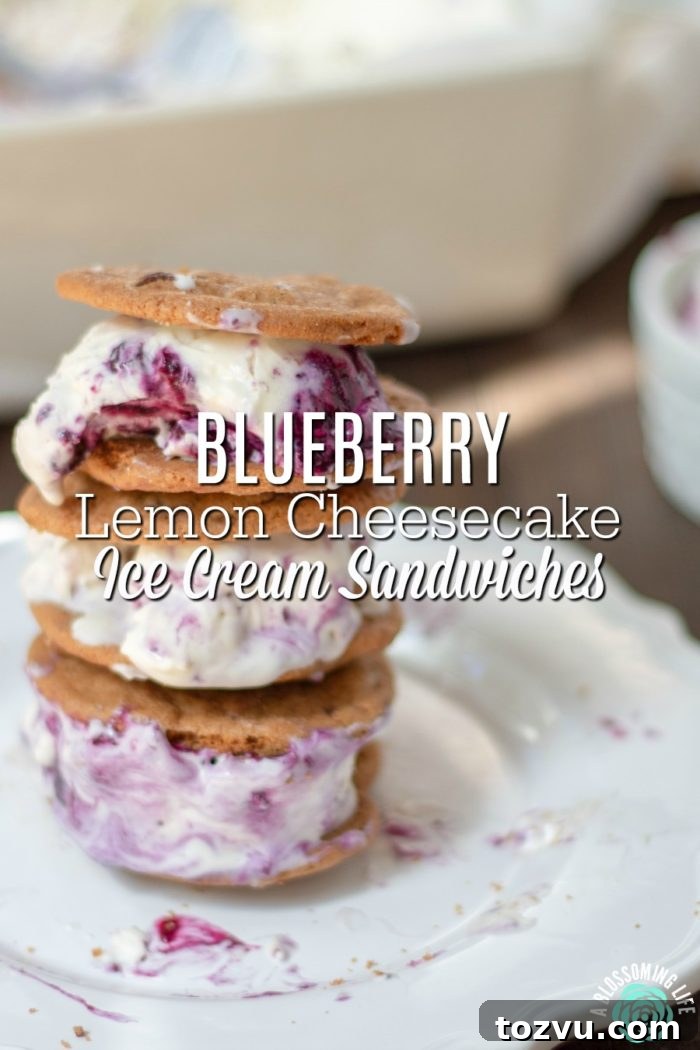 No-Churn Lemon Blueberry Cheesecake Ice Cream Sandwiches 2 Ice Cream Sandwiches with Blueberry Lemon Cheesecake Ice Cream