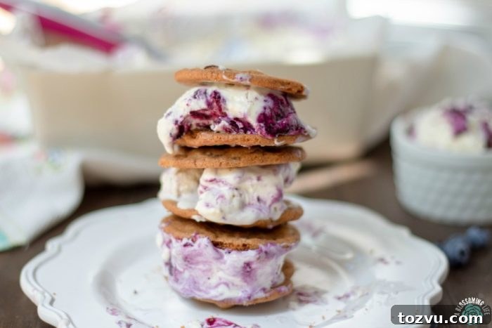 No-Churn Lemon Blueberry Cheesecake Ice Cream Sandwiches 5 Ice cream sandwiches made with blueberry lemon cheesecake ice cream