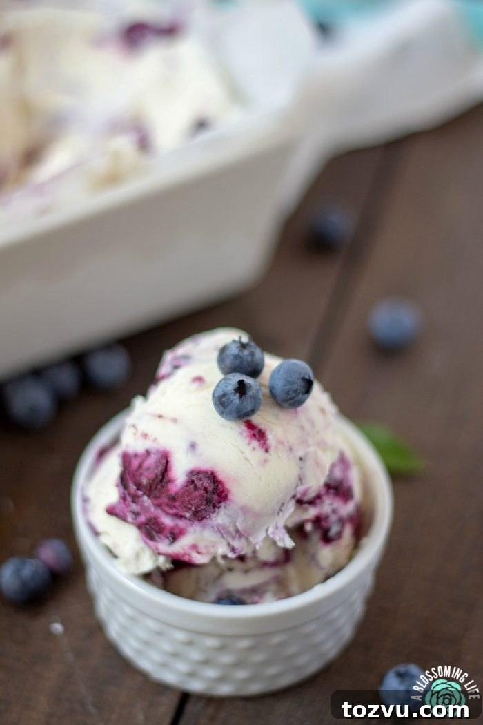 No-Churn Lemon Blueberry Cheesecake Ice Cream Sandwiches 6 Blueberry Lemon Cheesecake Ice Cream with fresh blueberries