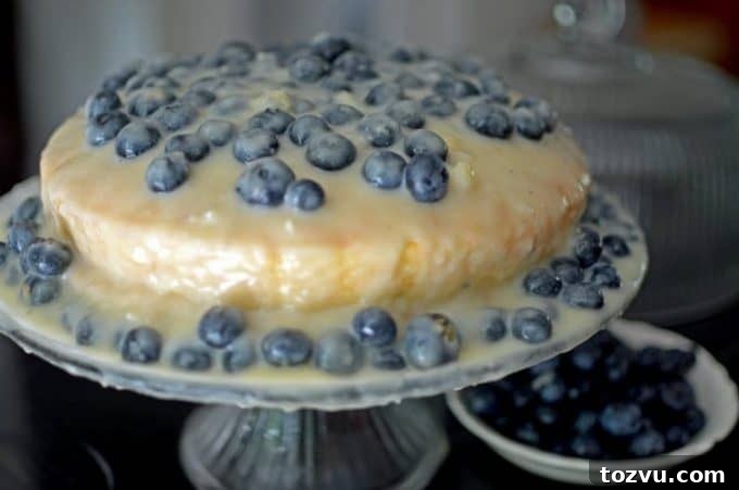 Blueberry Layer Cake with White Chocolate Pudding Icing 2 blueberry cake with icing