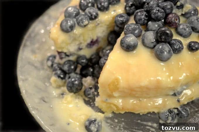 Blueberry Layer Cake with White Chocolate Pudding Icing 3 A close up of a blueberry cake with a slice out of it.