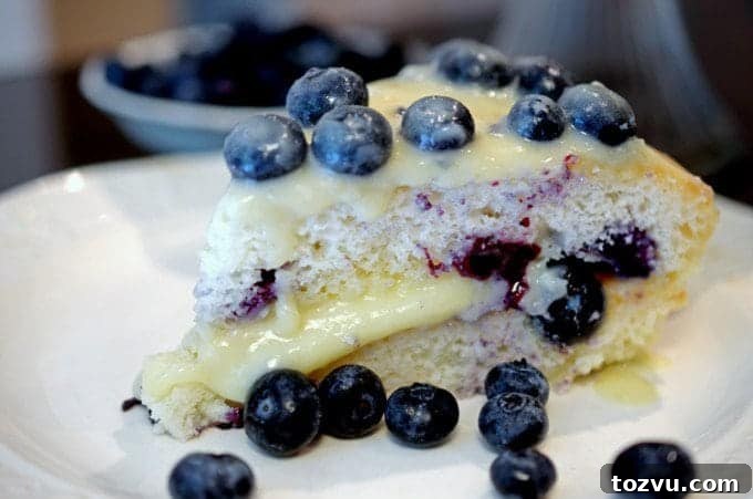 Blueberry Layer Cake with White Chocolate Pudding Icing 5 a close up of blueberry cake on a plate