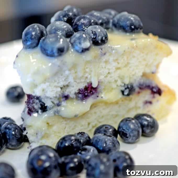 Blueberry Layer Cake with White Chocolate Pudding Icing 6 a slice of cake topped with blueberries